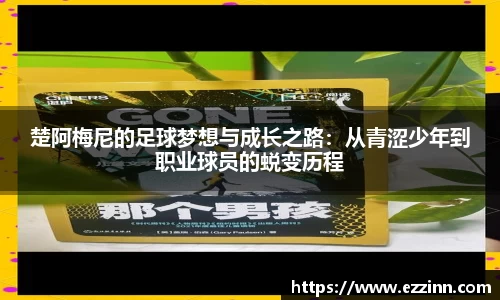 南宫NG·28
