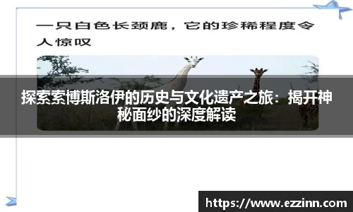 南宫28
